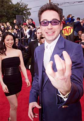 Robert Downey Jr. (Larry Paul)