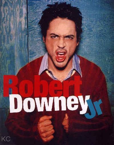 Robert Downey Jr. (Larry Paul)