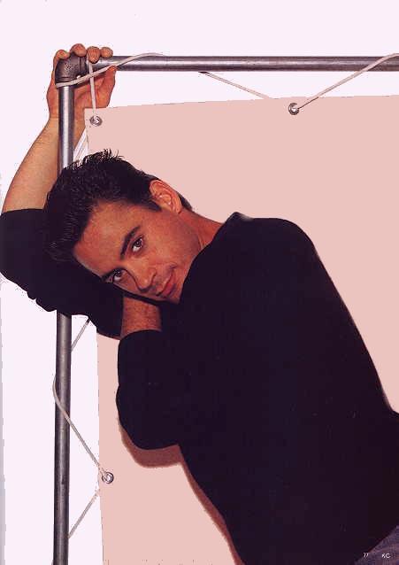 Robert Downey Jr. (Larry Paul)