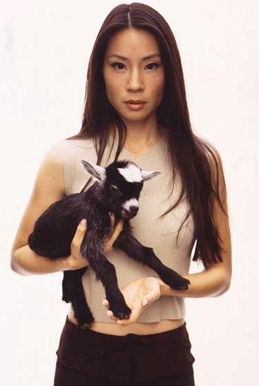 Lucy Alexis Liu (Ling Woo)