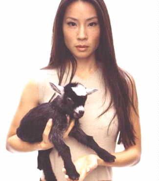 Lucy Alexis Liu (Ling Woo)