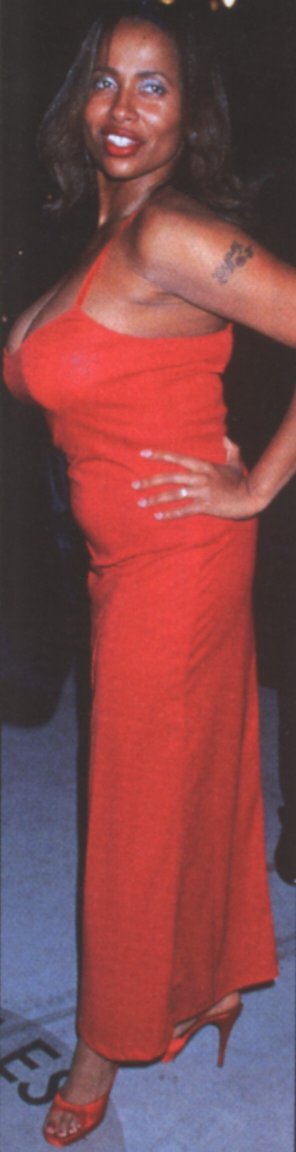 Lisa Nicole Carson (Renee Radick)